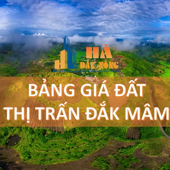 DAK MAM