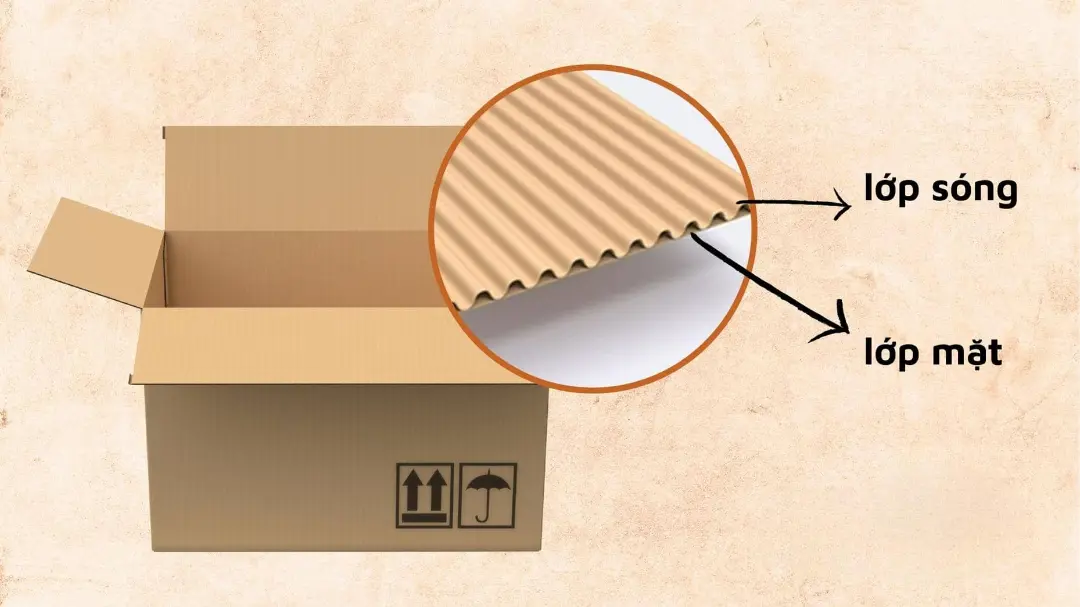 Hộp Giấy Sóng Carton